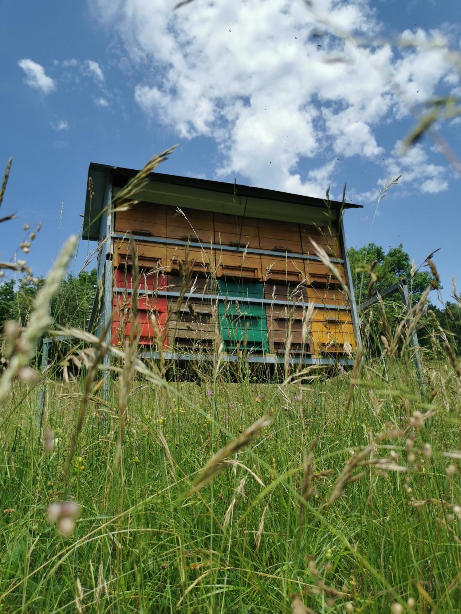 Farm Stay Pri Cepcovih Golac Екстер'єр фото